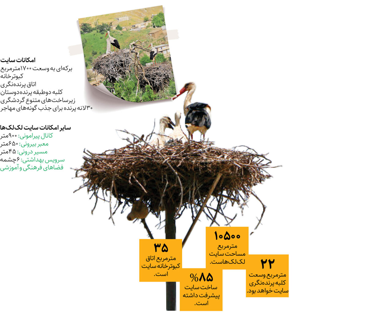 لکلکها به شهرری بر میگردند