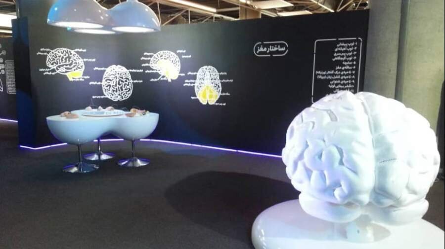 گشت وگذار نوجوانانه زیر سایه کتاب