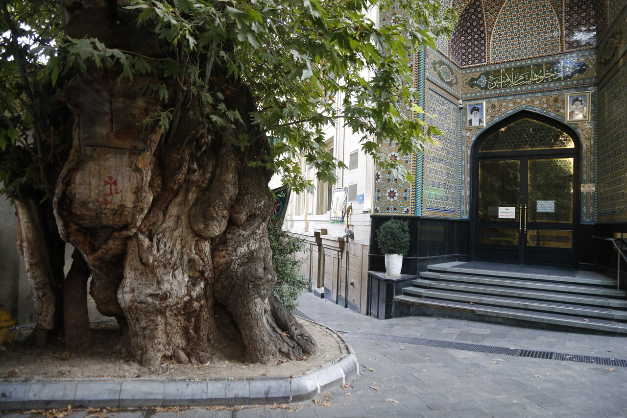 چرا امام (ره) از دربند به جماران رفت؟ | روایت هایی از حضور امام در جماران