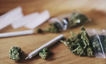 گل موجود در ایران با قارچ و کپک مخلوط شده است | گل را دست‌کم گرفته‌اند