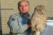 بازنشر مصاحبه همشهری با محیط‌ بان شهید هدایت الله دیده بان | خطرناک‌ ترین موجود طبیعت از نگاه دیده‌ بان که در نهایت جانش را گرفت
