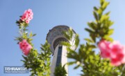 کاشان را از بالای برج میلاد ببینید