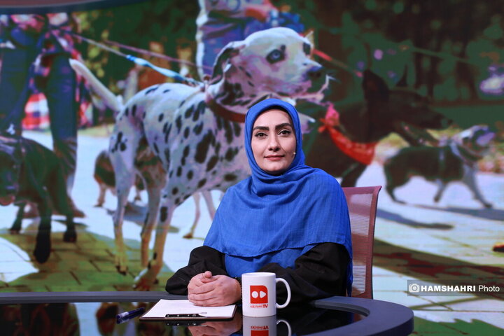 ممنوعیت سگ‌گردانی، از قانون تا واقعیت