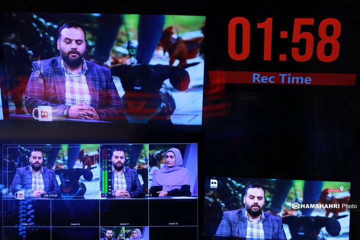 ممنوعیت سگ‌گردانی، از قانون تا واقعیت