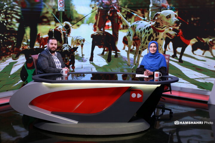 ممنوعیت سگ‌گردانی، از قانون تا واقعیت