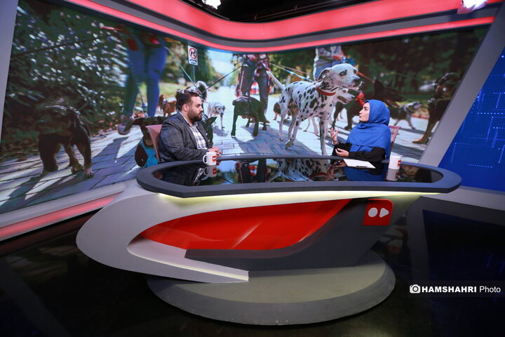 ممنوعیت سگ‌گردانی، از قانون تا واقعیت