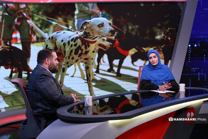 ممنوعیت سگ‌گردانی، از قانون تا واقعیت