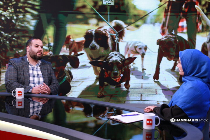 ممنوعیت سگ‌گردانی، از قانون تا واقعیت