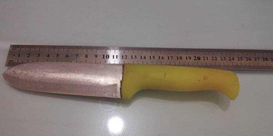 قتل فجیع قهرمان مچاندازی بانوان به دست شوهرش | مچ دستهایش را بریدم! + عکس