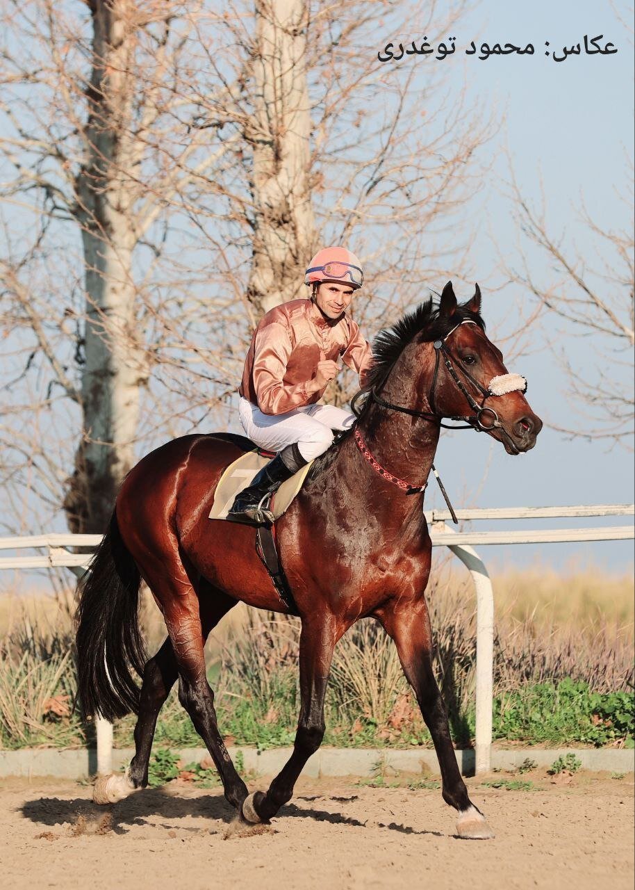 حادثه تلخ در مسابقه اسبدوانی بندر ترکمن + ویدئو