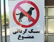ممنوعیت سگ گردانی به یک شهر دیگر رسید