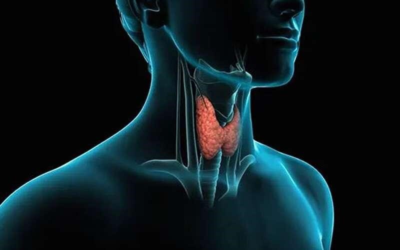 نشانههای اختلال در عملکرد تیروئید