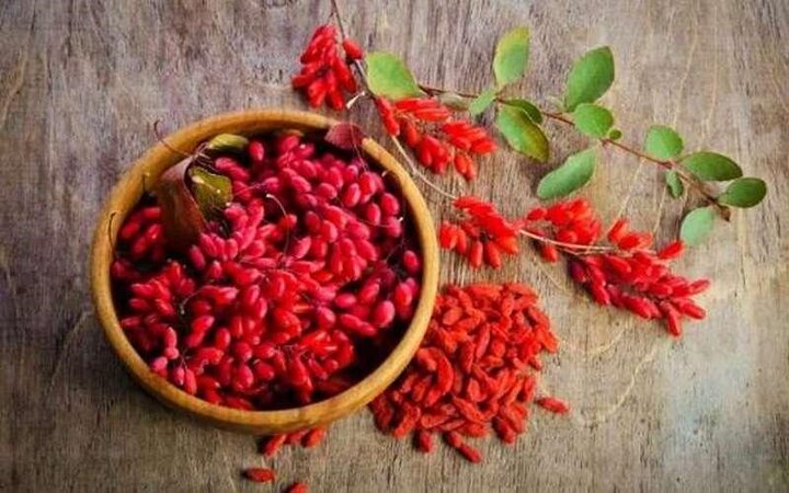 دانه کوچک و ترش اما «ابرغذا»؛ زرشک چه فوایدی برای بدن دارد؟