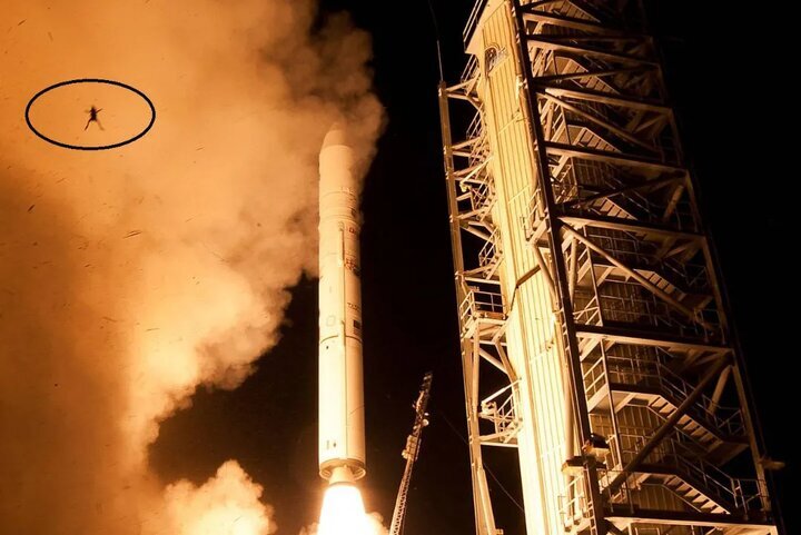 قورباغه بدشانسی که همراه موشک پرتاب شد! / عکس