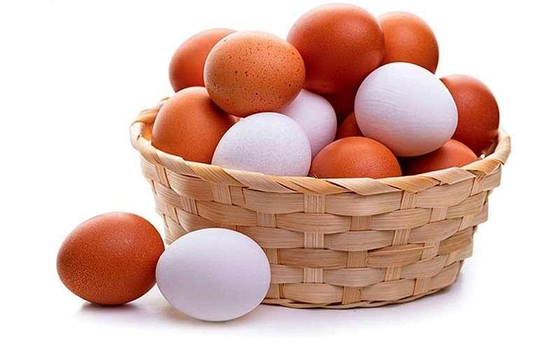 آیا خوردن تخم‌مرغ هر روز برای بدن ضرر دارد؟
