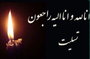 اسطوره کشتی ایران و دارنده مدال طلای المپیک درگذشت + تصاویر