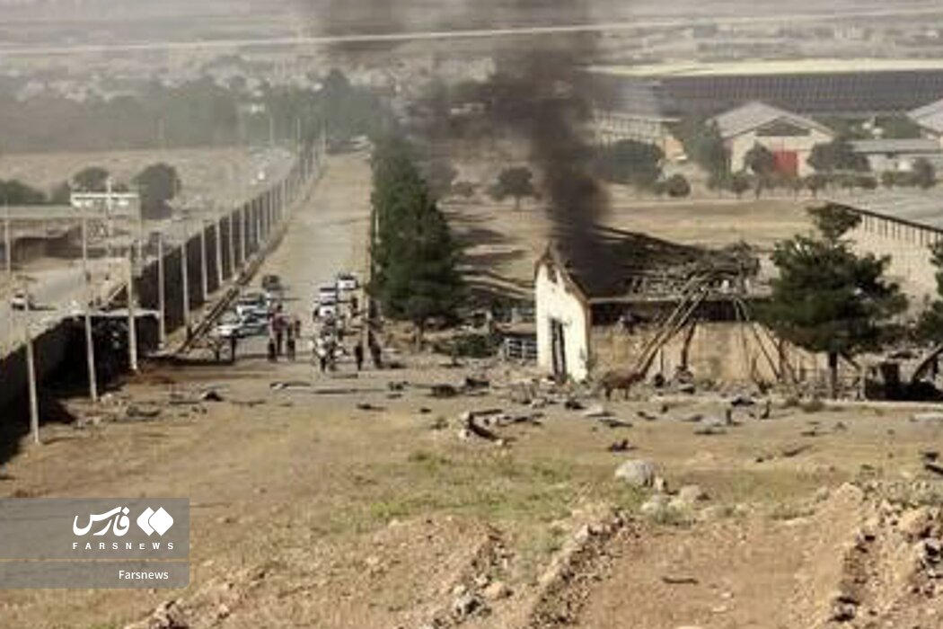 صهیونیست ‌ها به اسب ها هم رحم نمی کنند! | تصاویر