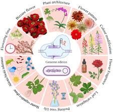 اسرار موفقیت در مقاومت گیاهان | ابزار جدید برای اصلاح نژادهای آینده