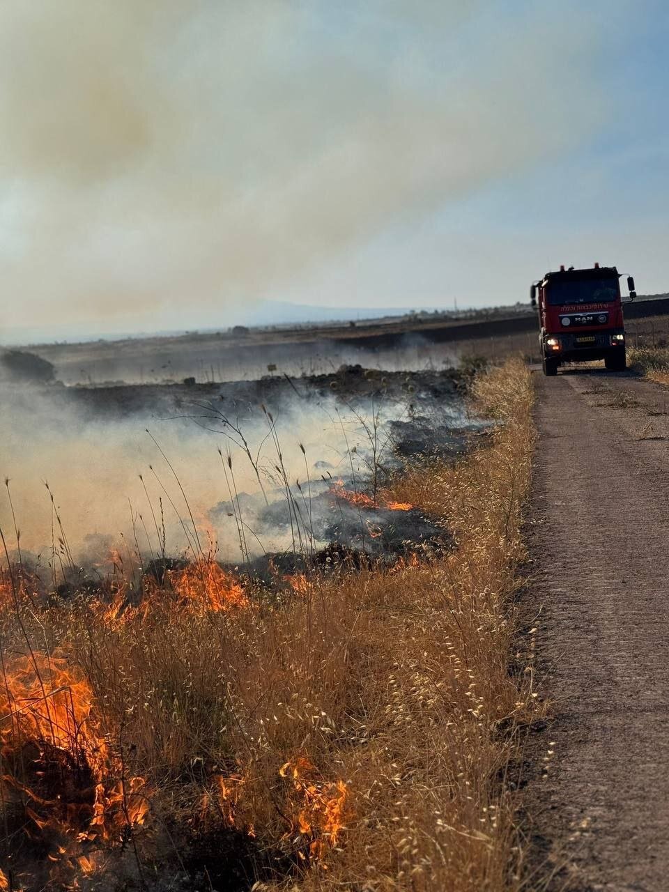 گل به خودی؛ رژیم صهیونیستی اراضی کشاورزی سرزمین‌های خودش را به آتش کشید | عکس