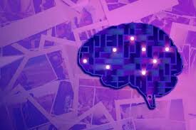 این سلولها خاطره میسازند | وقتی مغز ستارهگون نمایان میشود