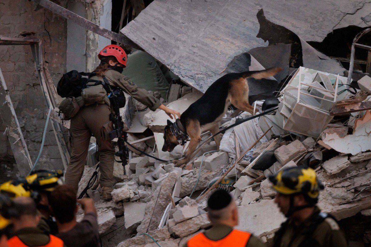 سگهای صهیونیست بهدنبال مفقودیها | تصاویر