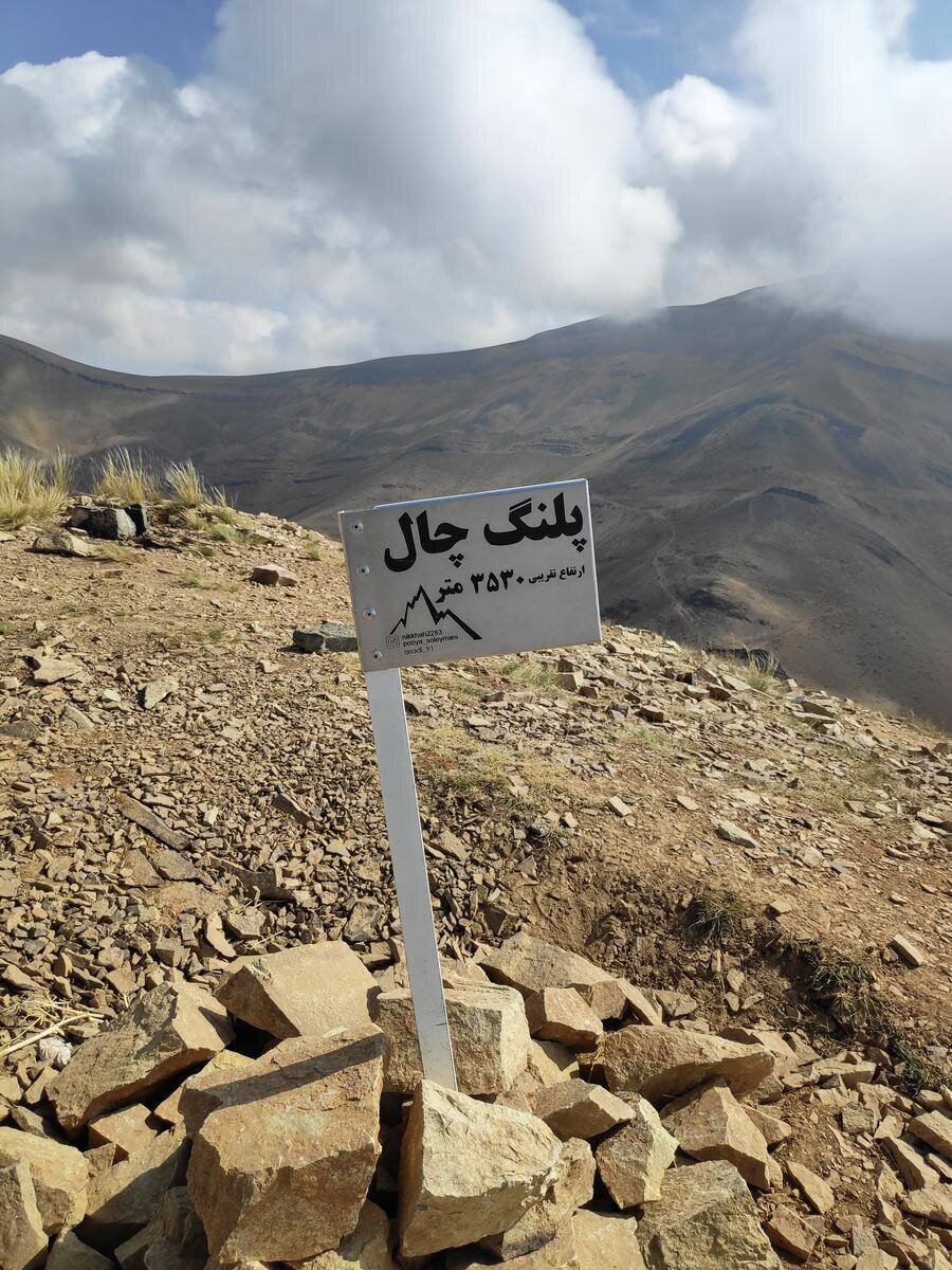 قلهای به نام پلنگ های تهران