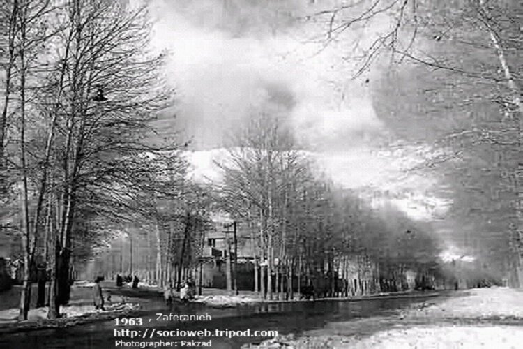 محله تهران که محصولش از زعفران به برج رسید