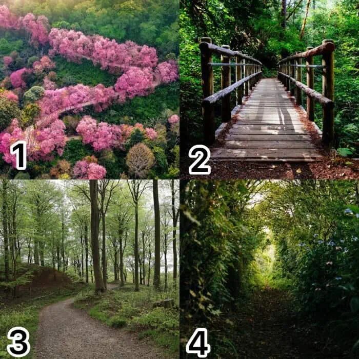 یکی از این جادهها را انتخاب کن تا بگویم چطور آدمی هستی