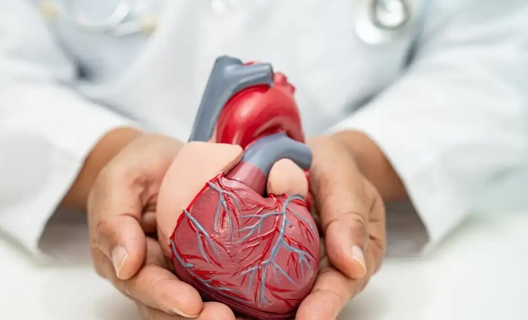 از چه سنی باید نگران سلامت قلب شد؟