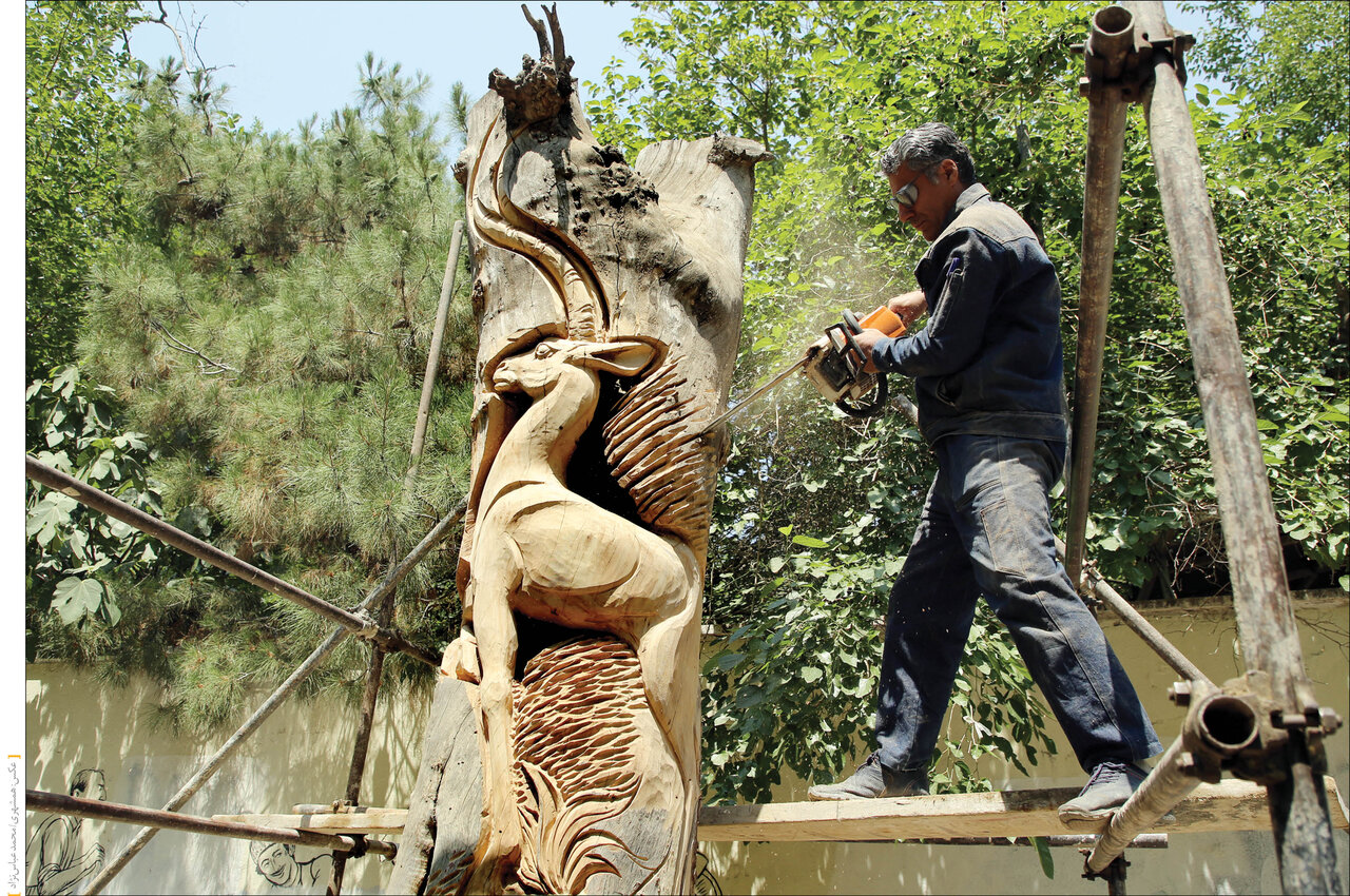 خراطی درختان خشکیده