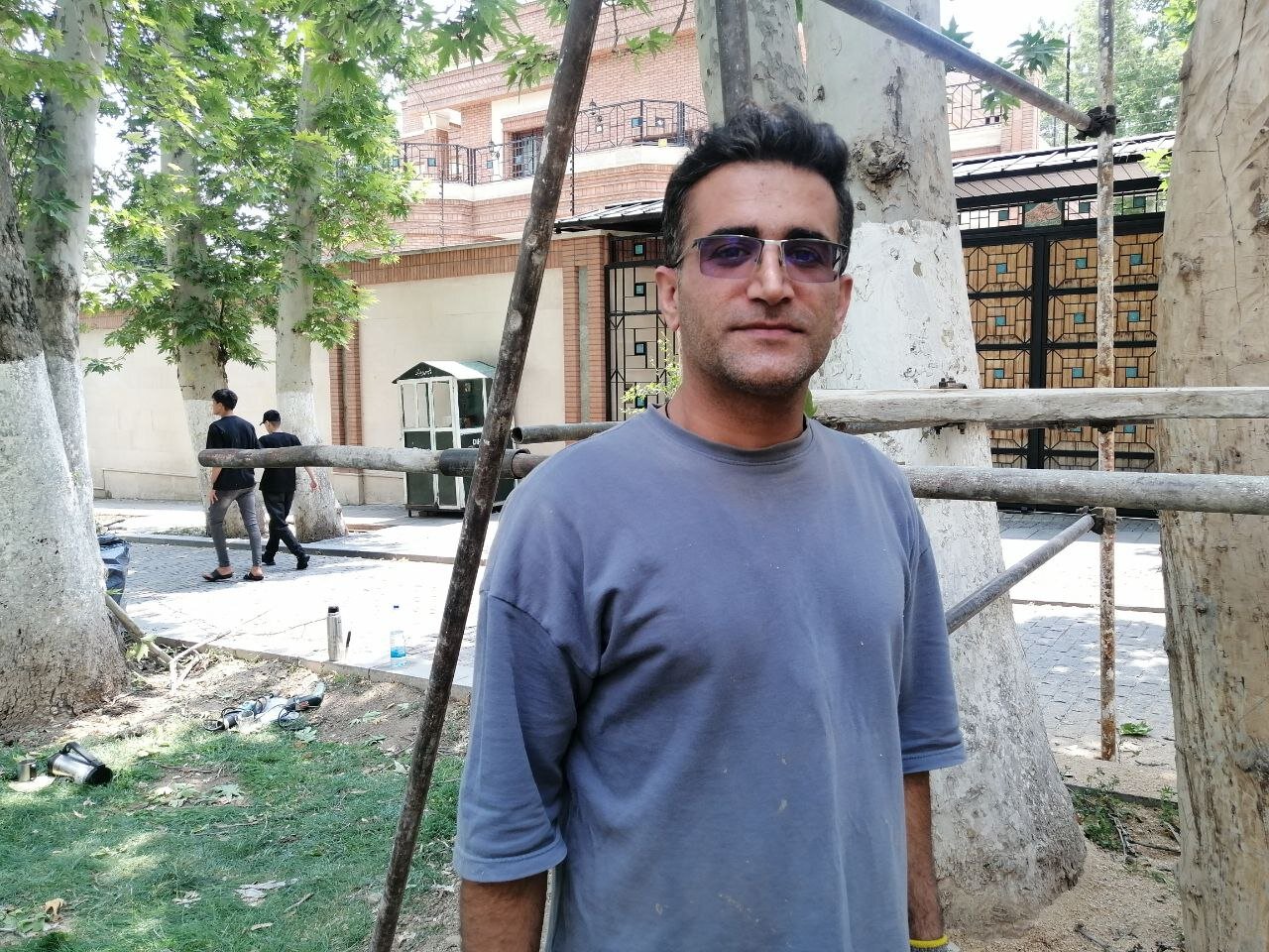 درختان خشک خیابان ولیعصر (ع) جان میگیرند