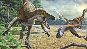 ماجراهای ناتمام بشر | دلایل اصلی انقراض دایناسورها و حقایق جدید درباره آنها