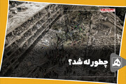 چطور له شد؟