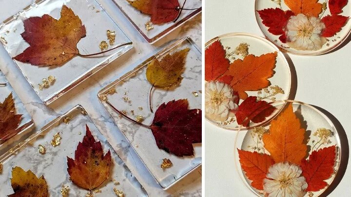 کاربردهای جالب برگ خشک شده گیاهان | عکس