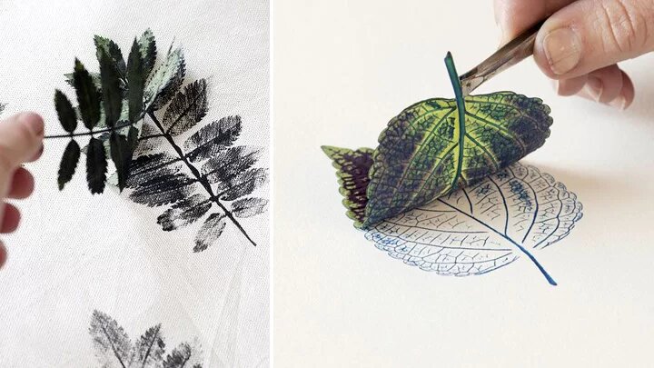 کاربردهای جالب برگ خشک شده گیاهان | عکس