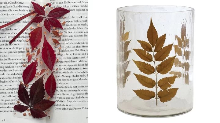 کاربردهای جالب برگ خشک شده گیاهان | عکس