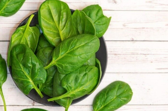 خورش اسپناساک؛ قدیمی و خوشمزه ترین غذای شمالی