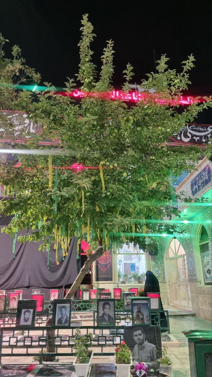 شفاعت همسایه درخت سیب