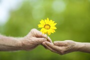 نگاهی به معجزات بی نظیر بخشش
