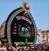 تصاویر یکی از باشکوه‌ترین نخل برداری‌ها در ایران + فیلم