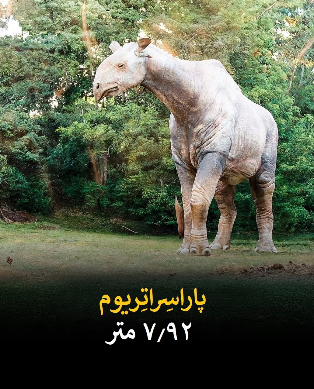 سفر به دنیای بزرگترین حیوانات تاریخ زمین | عکس