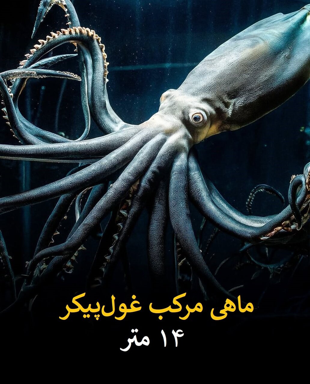 سفر به دنیای بزرگترین حیوانات تاریخ زمین | عکس