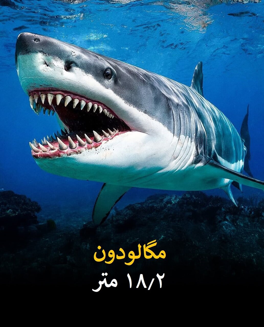 سفر به دنیای بزرگترین حیوانات تاریخ زمین | عکس