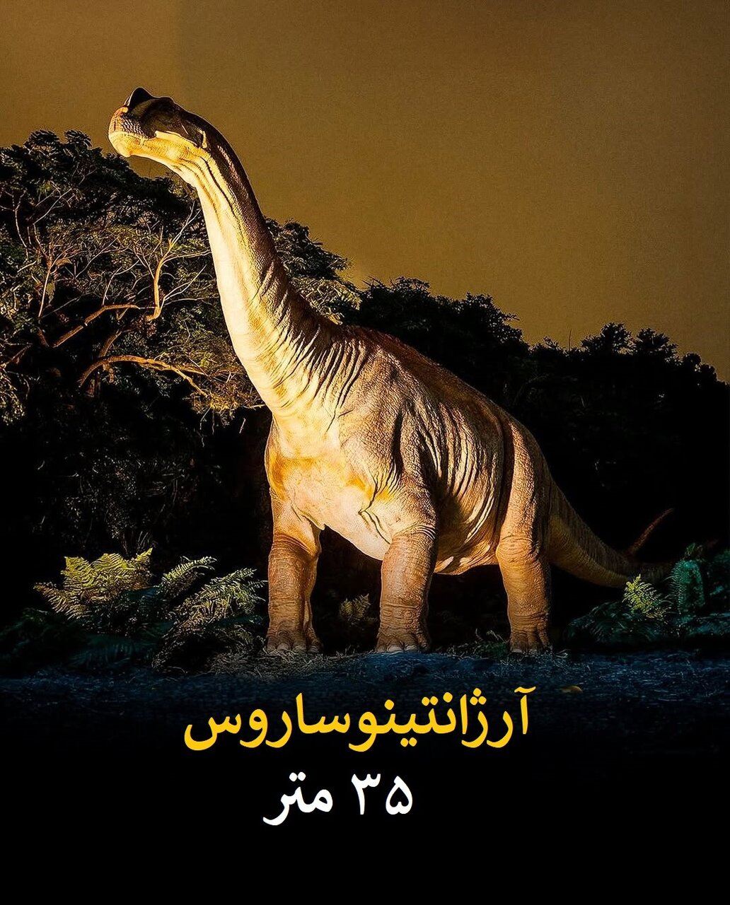 سفر به دنیای بزرگترین حیوانات تاریخ زمین | عکس