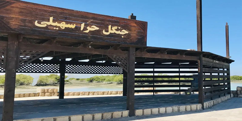 9 سال تلاش اهالی یک روستا برای جهانی شدن | روستای سهیلی چطور نمونه گردشگری شد؟ + فیلم