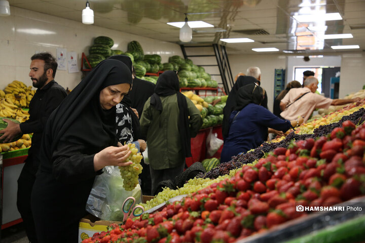 تریبون آزاد شهری