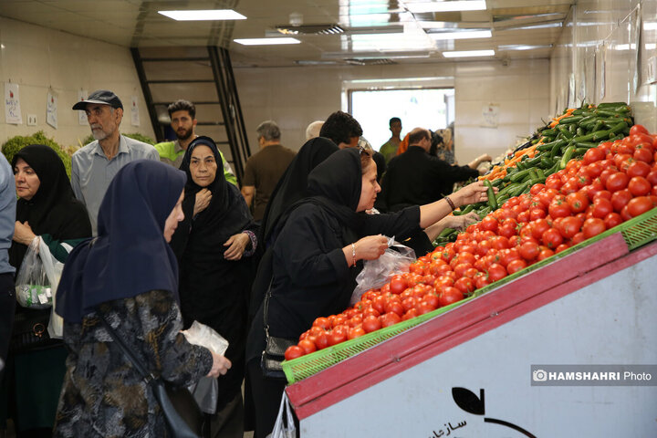 تریبون آزاد شهری