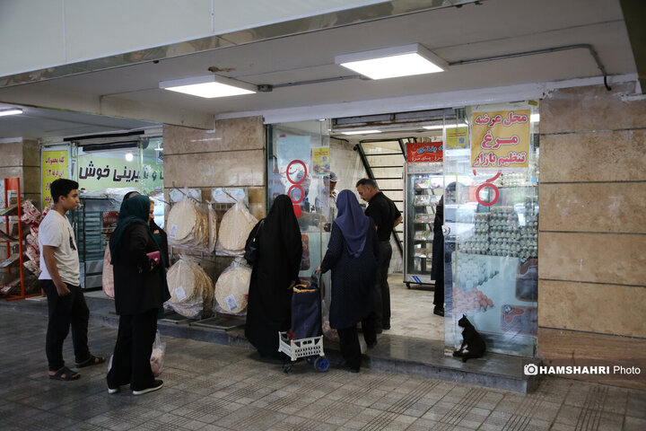 تریبون آزاد شهری