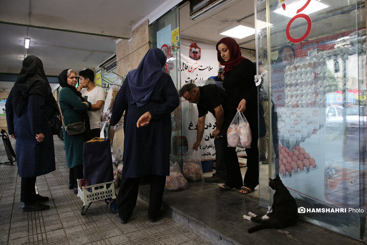 تریبون آزاد شهری