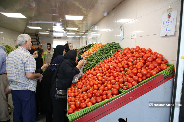 تریبون آزاد شهری